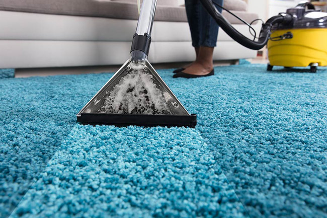 point cook carpet cleaning