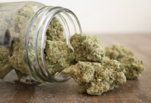 5 Facts About Weed You Probably Didn't Know