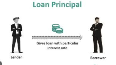 what is the principles of a loan