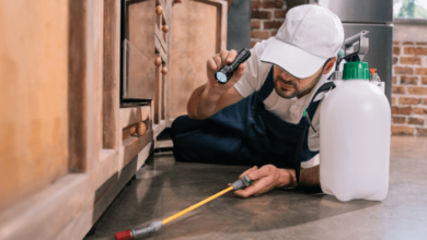 Protecting Your Business from Pests