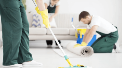 domestic cleaning company
