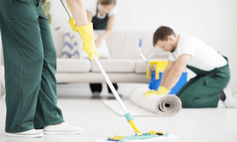 domestic cleaning company