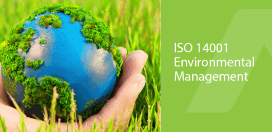 In today's world, environmental issues have become a pressing concern for businesses. An EMS is a tool that helps organizations manage their environmental