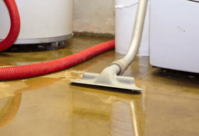 How Do You Dry Out Moisture in a Basement?