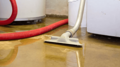 How Do You Dry Out Moisture in a Basement?