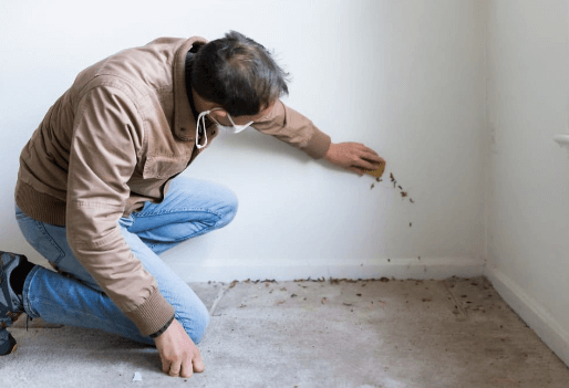How To Identify The Signs Of A Mold Infestation