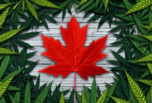 Canada has emerged as a global pioneer in the realm of cannabis legalization. In 2018, it became the second country in the world