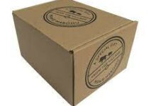 Power of Custom Shipping Cartons for Your Business