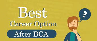What are the job options to be explored after online BCA?