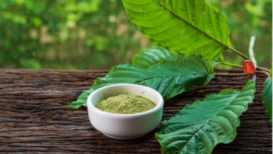 Health Watch: Examining the Potential Benefits and Risks of Kratom Consumption