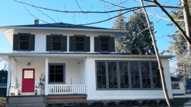 Choosing the Perfect Home Renovation Shutters for Your House