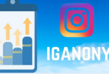 IgAnony: The Ultimate Instagram Story Viewer