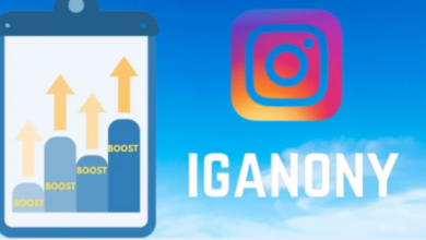 IgAnony: The Ultimate Instagram Story Viewer