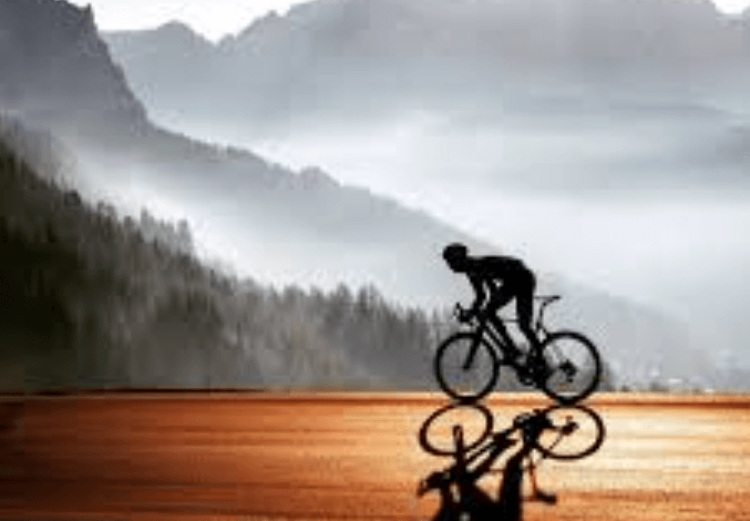 7206877579: Service Assistance Number