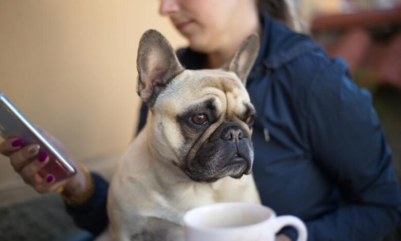 contact number ownership inquiry