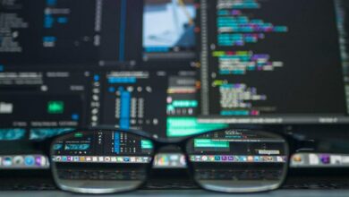 influence on software development