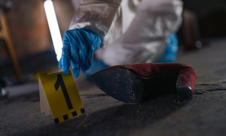 toll free number investigation story