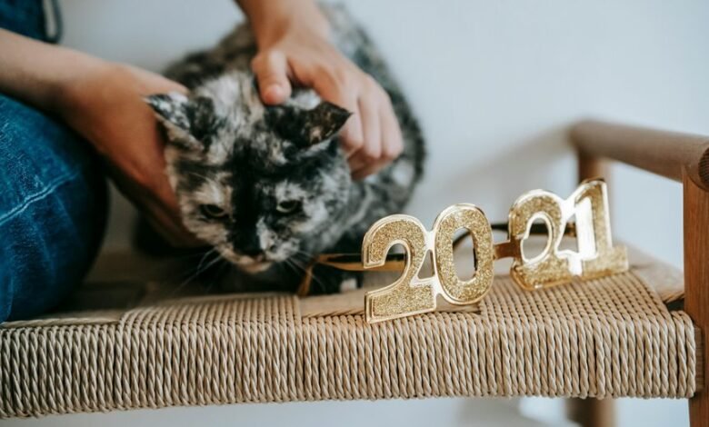 tracing number ownership origins