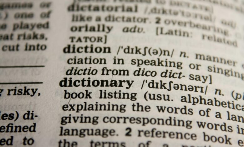 understanding getmyippin meaning