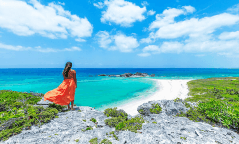 Discovering the Quiet Charm of Shelter Beach