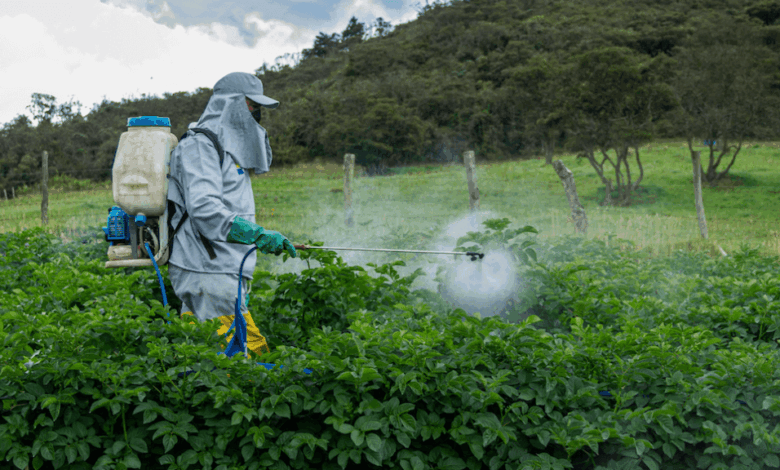Evolution of Pest Control | A Historical Overview