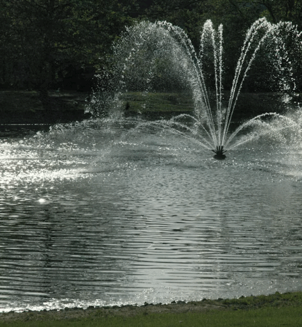 Pond Fountain Buying Guide: What to Consider Before You Order