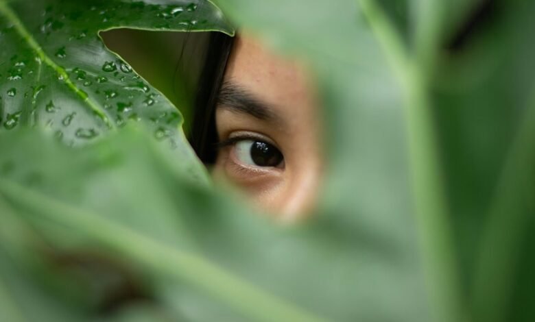 hidden code reveals secrets