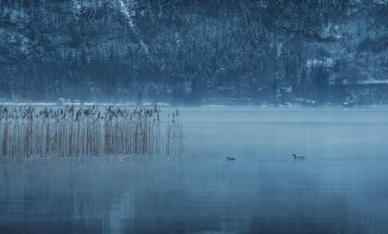 silent phone number mystery