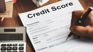 Beyond the Score: What a Comprehensive Business Financial Report Reveals