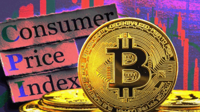 1kzaxkc6kzh3mufjdcbzcwx5mgdhsxnzbn