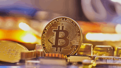 3qzyvarfy6bakfbw4ybrrzmwztnfzcaa6e