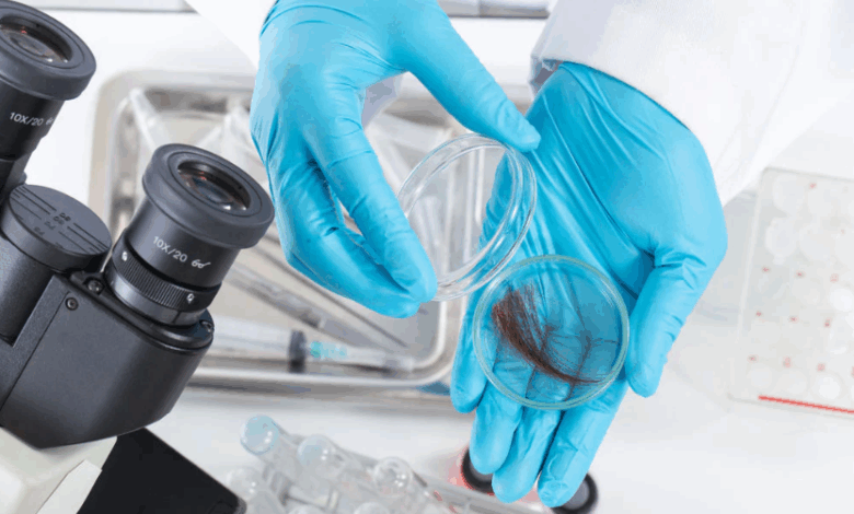 Hair Follicle Test Laboratory Certification Update: Ensuring Accuracy and Reliability in Drug Testing