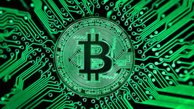 1cq7f5kw1dfixkm7bwofdswugmrsgvwqts