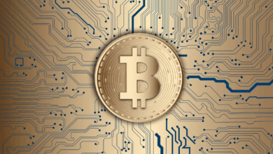 8mppfucmh5is/Ldytih4l6n1mhr/Prw Lrlyrbvep 4