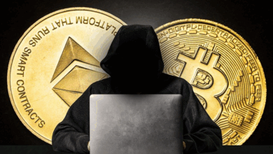 12ib7dapvfvg82txkycwbnpn8kfyian1dr Private Key