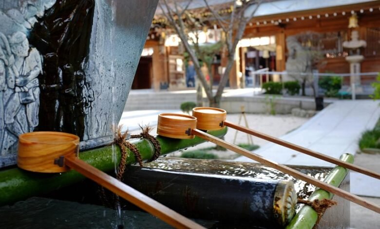 number s cultural significance