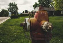 number s online popularity rise