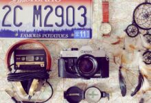 number s popularity explored