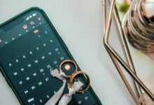 number s rise to fame