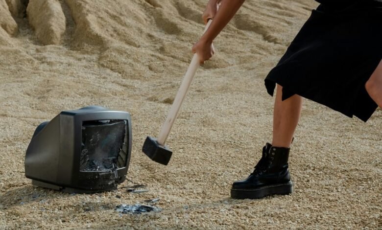 number s role in media