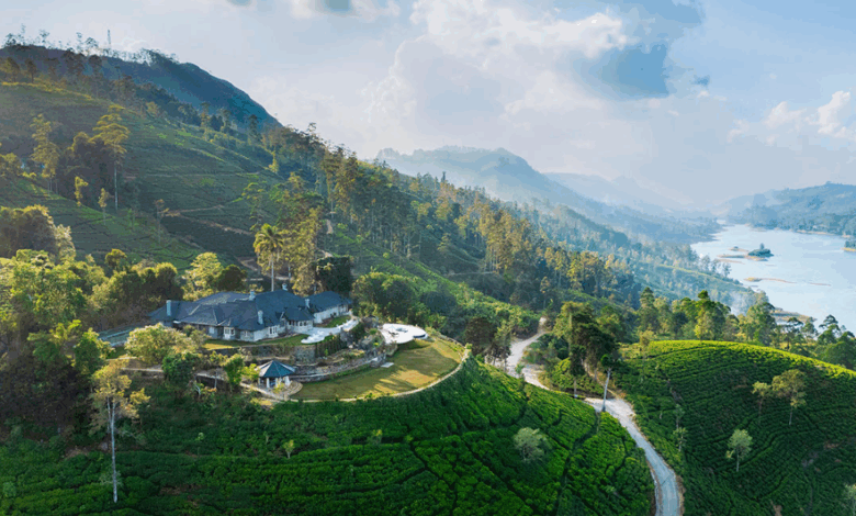 Sri Lanka’s Most Instagrammable Luxury Moments Revealed