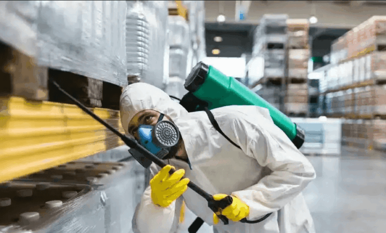 What Happens During a Professional Mice Control Visit?