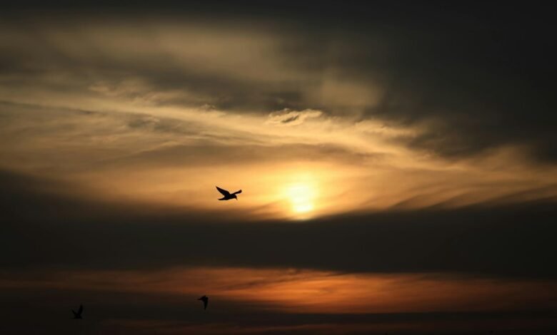 unique account name creation