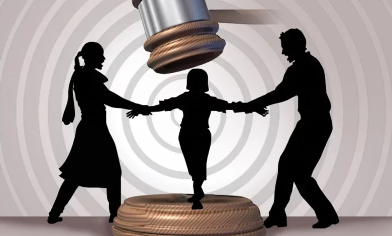 Paternity Lawyer in Child Support