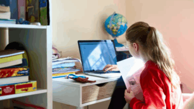 How Parents Can Support Their Child's Success in Online Schooling