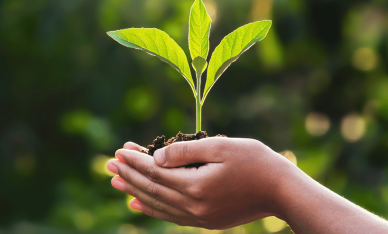 5 Principles for Balancing Growth and Sustainability in Communities