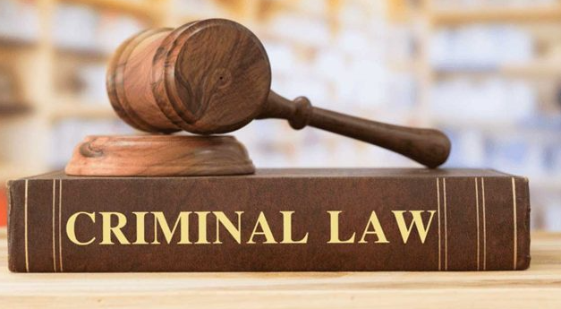 Guardians of Justice Inside the World of Criminal Defense Lawyers