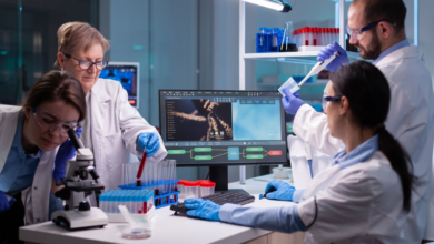 Adipotide and the Theoretical Rewriting of Adipose Targeting in Molecular Research