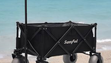 Effortless Beach Gear Transport with Push Pull Wagons