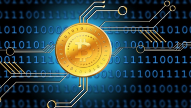 1pkdeafufx6rkfw7jh8e7dim8b6cyeyked